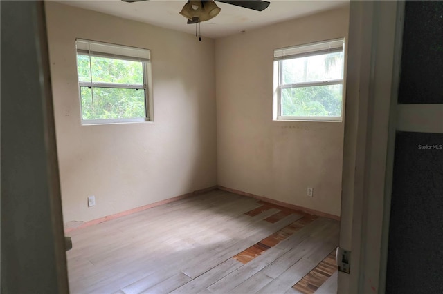 1131 Martha Dr, Daytona Beach, FL 32114 - photo 26