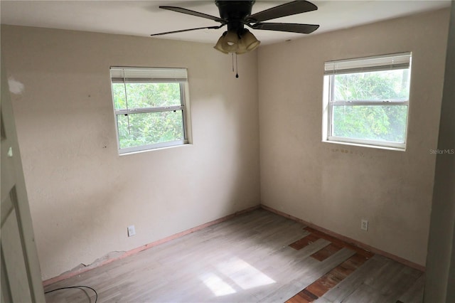 1131 Martha Dr, Daytona Beach, FL 32114 - photo 29