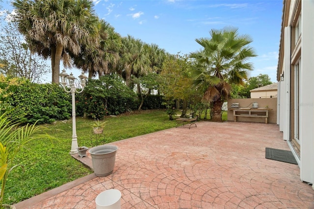 15522 NW 12th Ct, Pembroke Pines, FL 33028 - view of patio