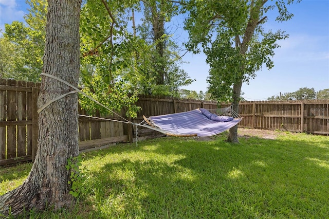 6 Prince Michael Ln, Palm Coast, FL 32164 - view of fenced backyard