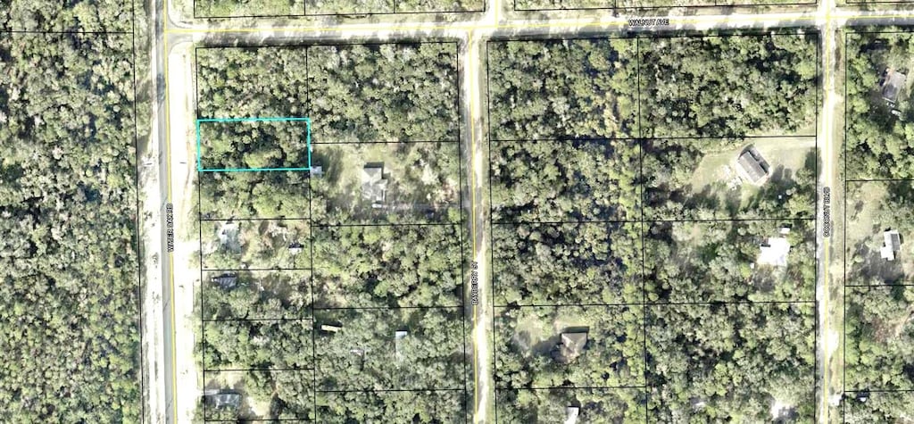 2289 Water Oak Rd, Bunnell, FL 32110