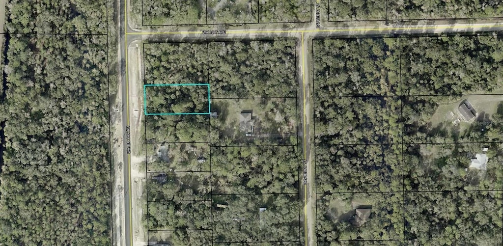 2289 Water Oak Rd, Bunnell, FL 32110