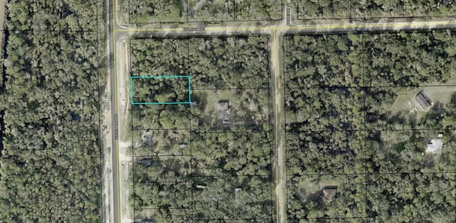 2289 Water Oak Rd, Bunnell, FL 32110