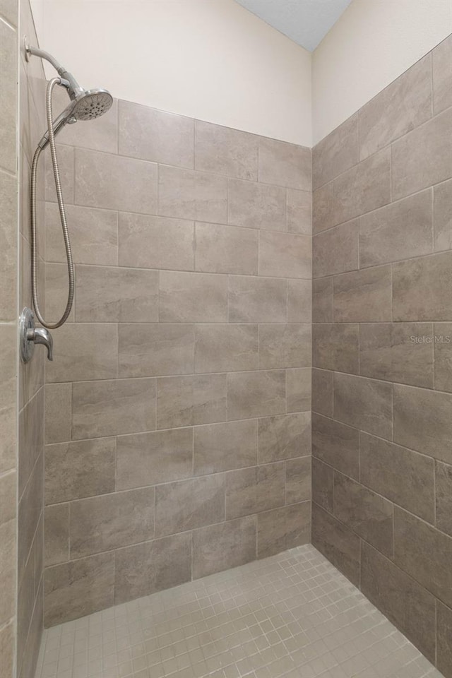 43 Lumber Jack Trl, Palm Coast, FL 32137 - full bathroom with a tile shower