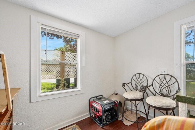 918 N Wild Olive Ave, Daytona Beach, FL 32118 - living area featuring plenty of natural light, wood finished floors, a textured wall, and a textured ceiling