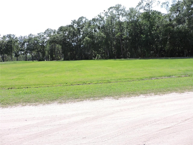 400 S County Road 115, Bunnell, FL 32110 - view of dirt / gravel road