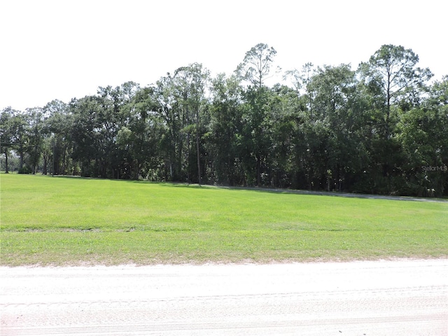 400 S County Road 115, Bunnell, FL 32110 - view of street