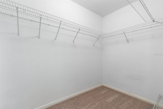 1 Wilson Pl, Palm Coast, FL 32164 - walk in closet with carpet flooring