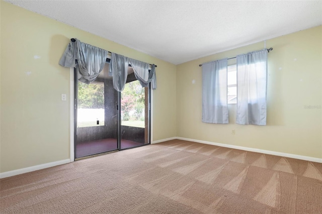 1 Wilson Pl, Palm Coast, FL 32164 - spare room featuring plenty of natural light and carpet flooring
