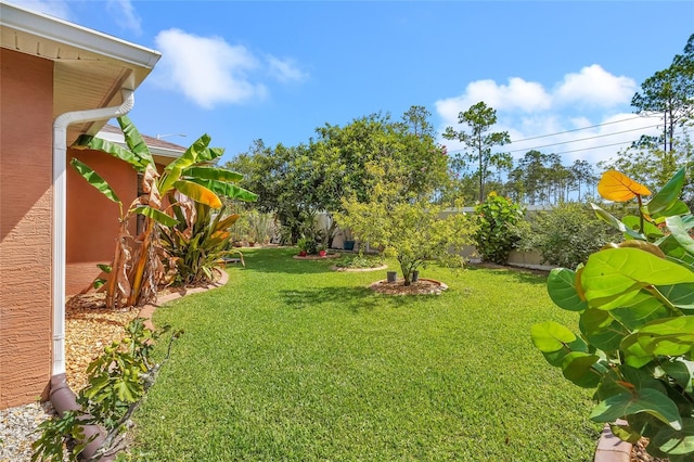 5 Zorlou Ct, Palm Coast, FL 32164 - view of fenced backyard