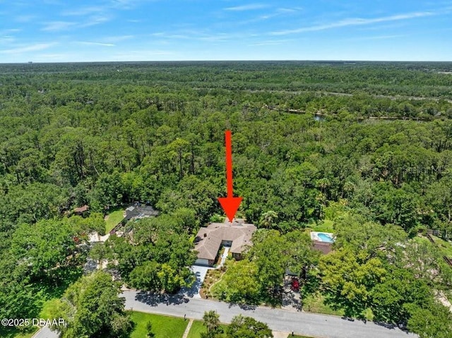 1108 Northside Dr, Ormond Beach, FL 32174 - aerial overview of property's location with a forest
