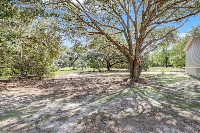 606 Ofarrell Ave, Interlachen, FL 32148 - view of yard
