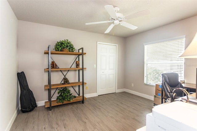 7 Lewis Shire Way, Palm Coast, FL 32137 - office with light wood-style floors and a ceiling fan