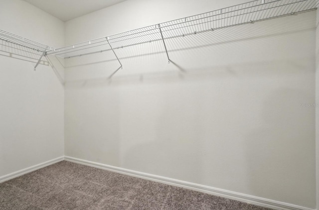 17 Roxbury Ln, Palm Coast, FL 32164 - spacious closet featuring carpet
