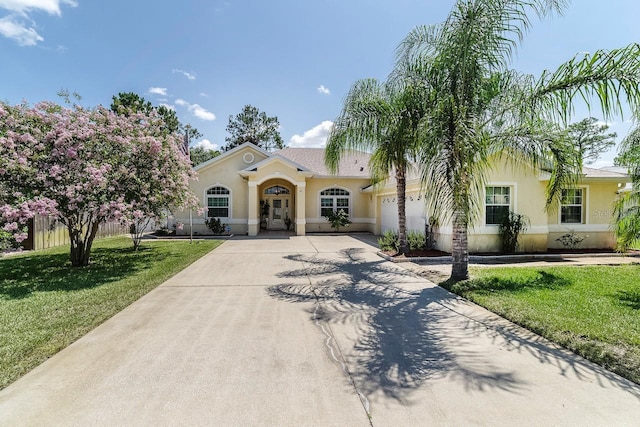 43 White Dove Ln, Palm Coast, FL 32164 - mediterranean / spanish-style house featuring driveway, an attached garage, stucco siding, and a front lawn
