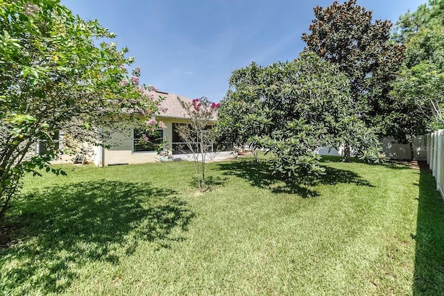 43 White Dove Ln, Palm Coast, FL 32164 - view of yard