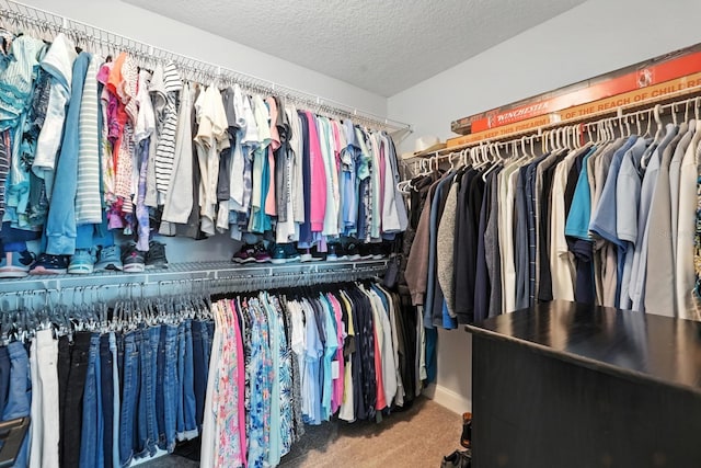 47 Lumberjack Trl, Palm Coast, FL 32137 - spacious closet with carpet flooring