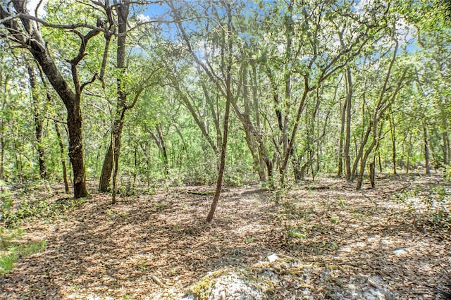 115 Coral Ave, Interlachen, FL 32148 - photo 2