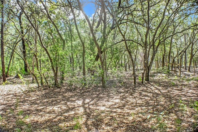 115 Coral Ave, Interlachen, FL 32148 - photo 3