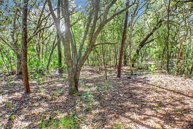 115 Coral Ave, Interlachen, FL 32148 - photo 7