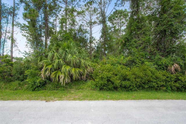 25 Pebble Stone Ln, Palm Coast, FL 32164