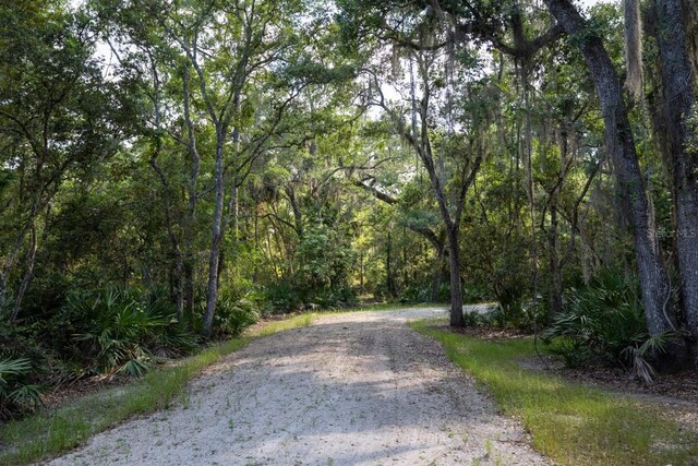10 Lexington Ct, Flagler Beach, FL 32136 - photo 3