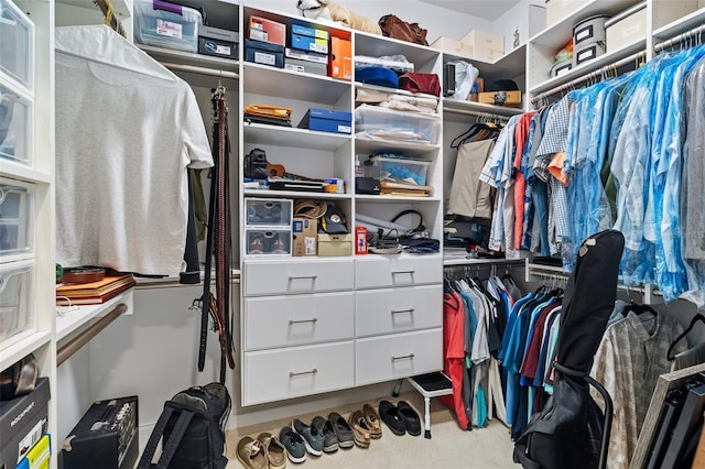 4 Old Oak Dr N, Palm Coast, FL 32137 - spacious closet featuring carpet