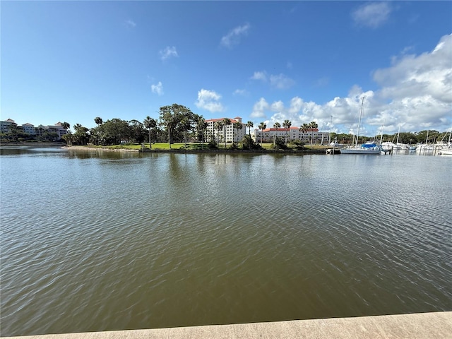 59 Rivers Edge Ln Unit 59, Palm Coast, FL 32137 - water view