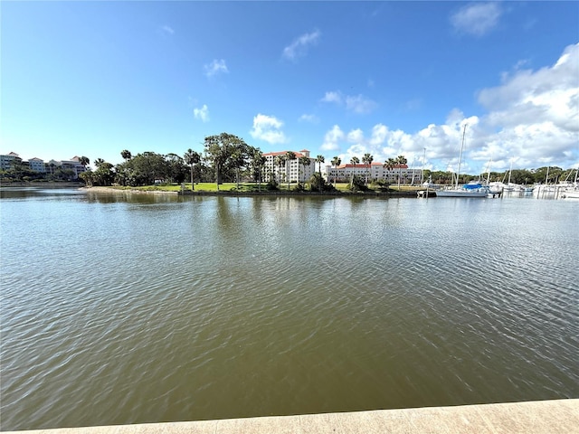 59 Rivers Edge Ln Unit 59, Palm Coast, FL 32137 - water view