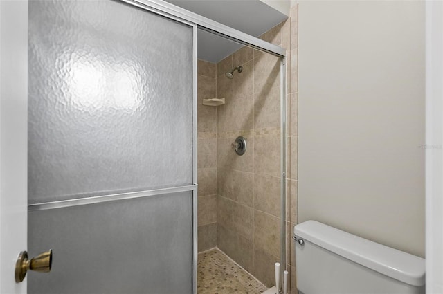14 Oakmont Ct Unit 14, Palm Coast, FL 32137 - bathroom with toilet and a stall shower