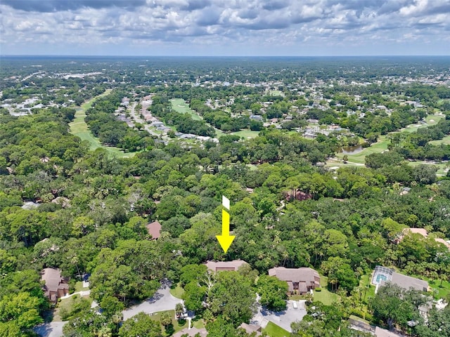 14 Oakmont Ct Unit 14, Palm Coast, FL 32137 - drone / aerial view