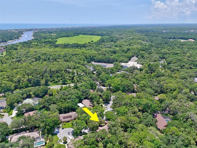 14 Oakmont Ct Unit 14, Palm Coast, FL 32137 - aerial view of a heavily wooded area and a large body of water