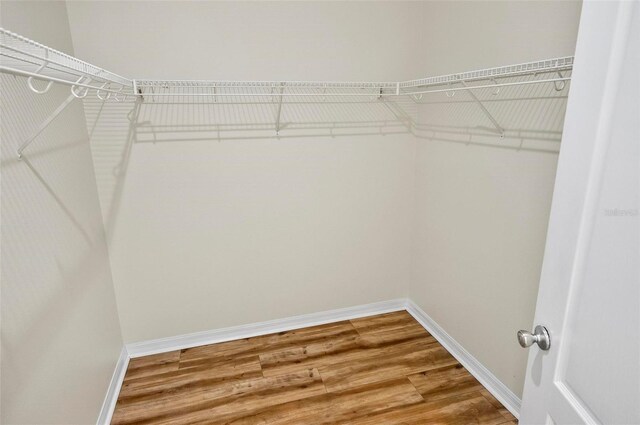 91 Sea Trl, Palm Coast, FL 32164 - photo 39