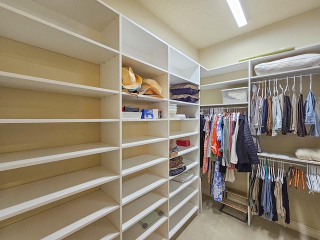 145 Heron Dr, Palm Coast, FL 32137 - spacious closet with carpet flooring