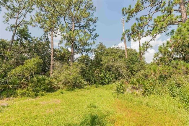 Micklers Rd, Saint Augustine, FL 32080 - photo 10
