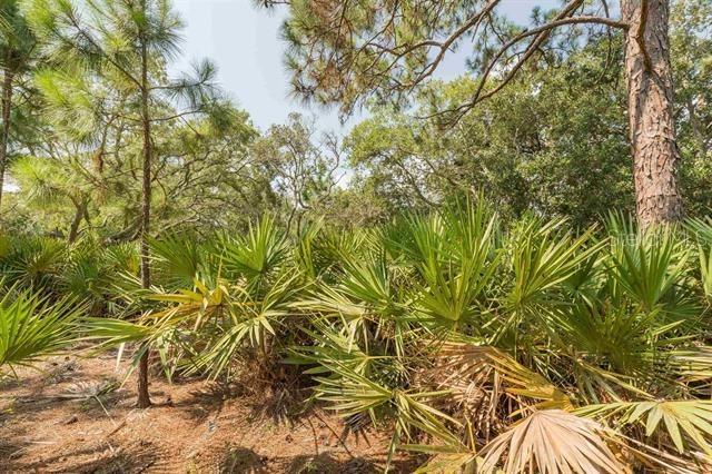 Micklers Rd, Saint Augustine, FL 32080 - photo 11