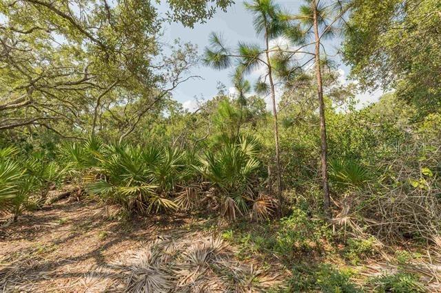 Micklers Rd, Saint Augustine, FL 32080 - photo 12