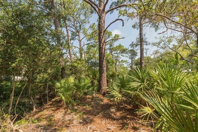 Micklers Rd, Saint Augustine, FL 32080 - photo 13