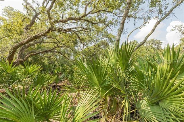 Micklers Rd, Saint Augustine, FL 32080 - photo 15