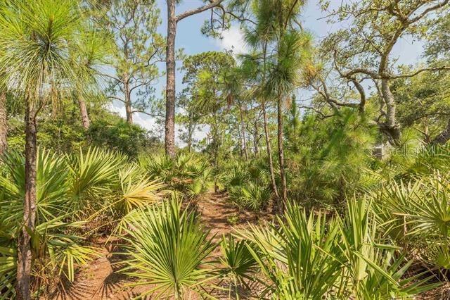 Micklers Rd, Saint Augustine, FL 32080 - photo 16