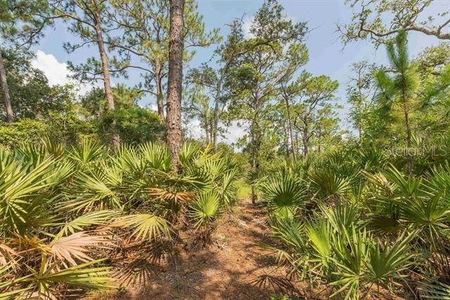 Micklers Rd, Saint Augustine, FL 32080 - photo 17