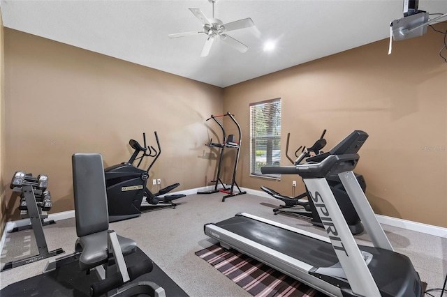 4600 E Moody Blvd Unit 14O, Bunnell, FL 32110 - workout room featuring a ceiling fan and baseboards