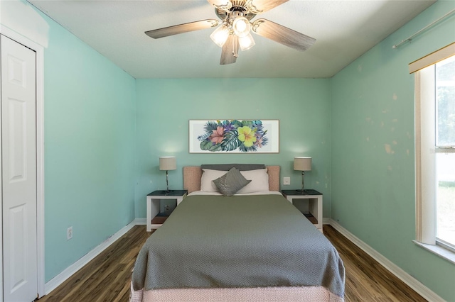 25 Raintree Pl, Palm Coast, FL 32164 - bedroom with wood finished floors, multiple windows, and ceiling fan