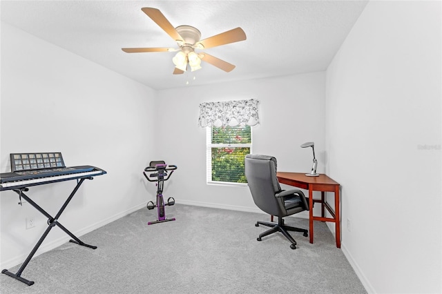 8 Smoke Tree Pl, Palm Coast, FL 32164 - photo 9