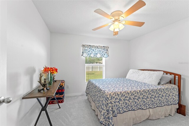 8 Smoke Tree Pl, Palm Coast, FL 32164 - photo 11