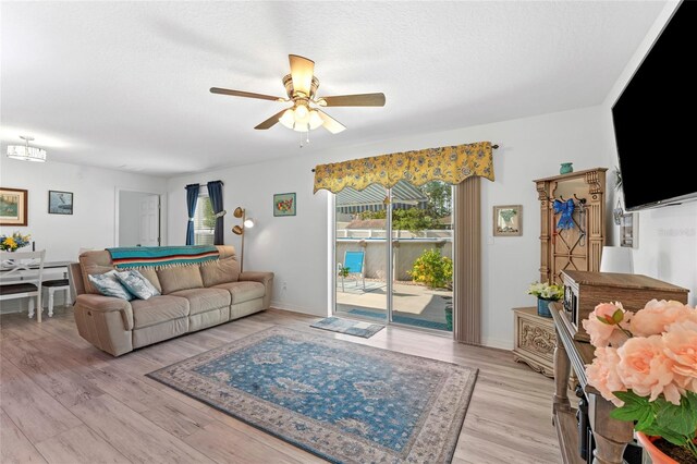 8 Smoke Tree Pl, Palm Coast, FL 32164 - photo 12