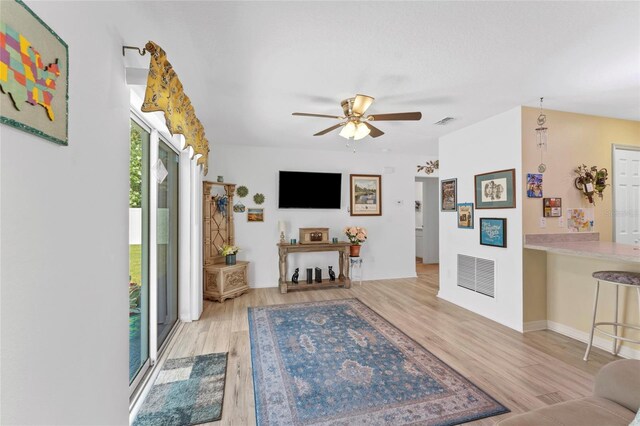 8 Smoke Tree Pl, Palm Coast, FL 32164 - photo 15