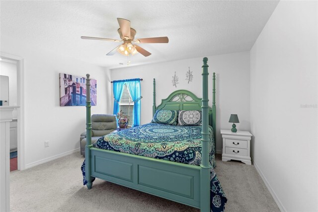 8 Smoke Tree Pl, Palm Coast, FL 32164 - photo 22