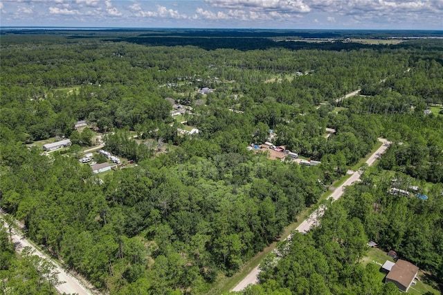 2128 Orange St, Bunnell, FL 32110