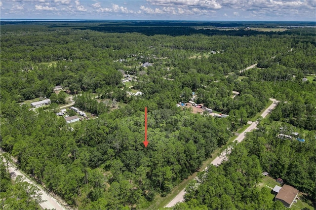 2128 Orange St, Bunnell, FL 32110